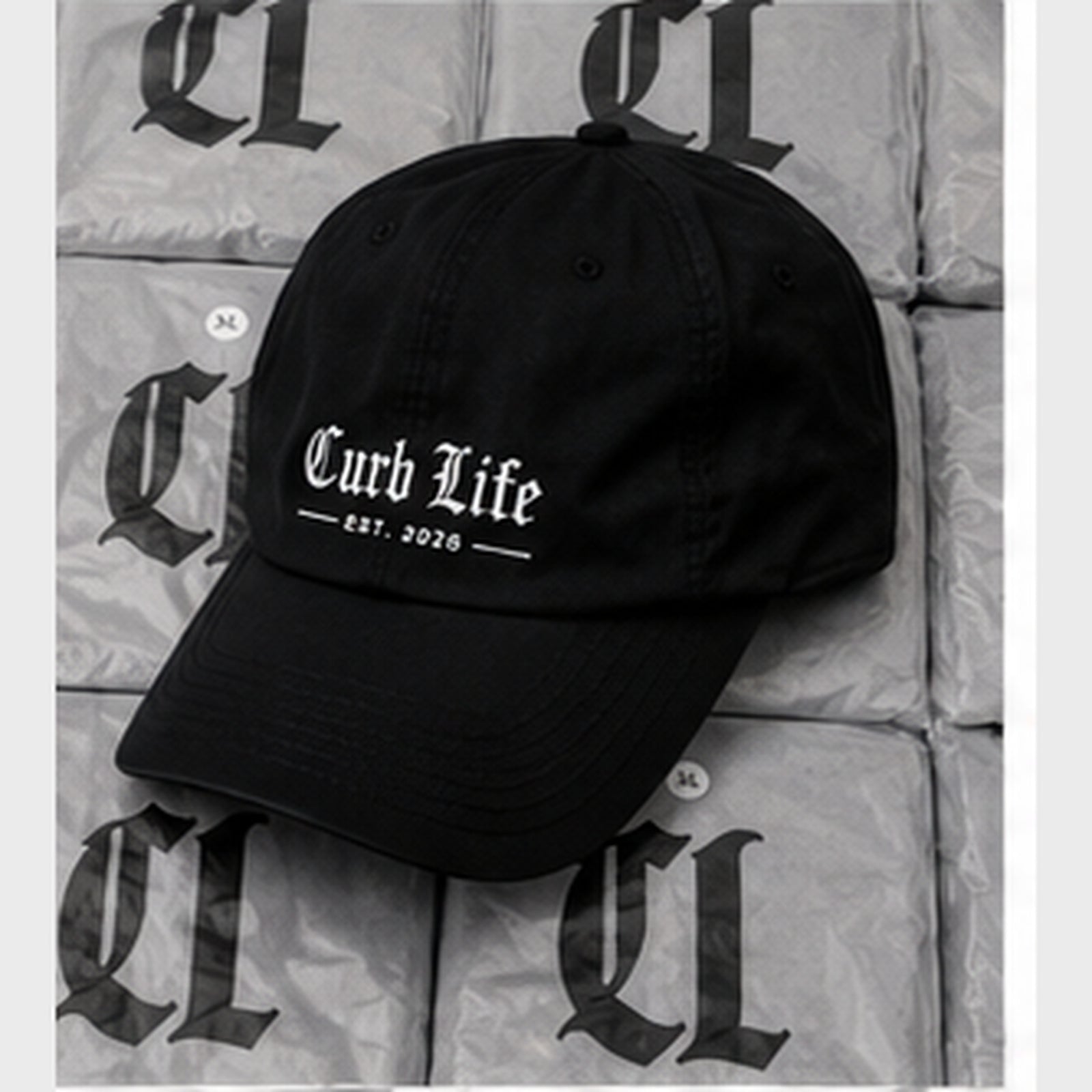 Curb Life Dad Cap